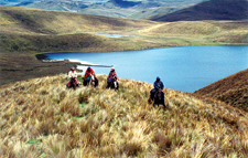 Ecuador-Highlands Riding Tours-Highlands Cattle & Horse Round Up in Ecuador